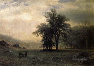 Deer in einer Landschaft Albert Bierstadt Ölgemälde